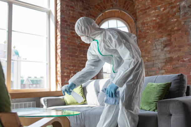 Best Emergency Mold Remediation  in Gardner, KS