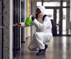 Gardner, KS Mold Removal & Remediation Company